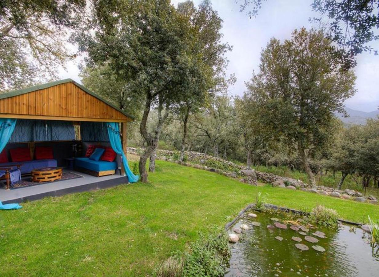 Studio Confortable Avec Vue Sur La Montagne A Moltifao 30M² Jardin Exteriör bild